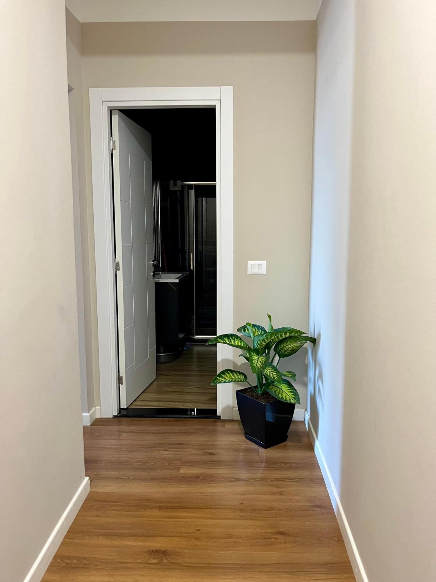 City Center Cozy Apartment ติรานา ภายนอก รูปภาพ